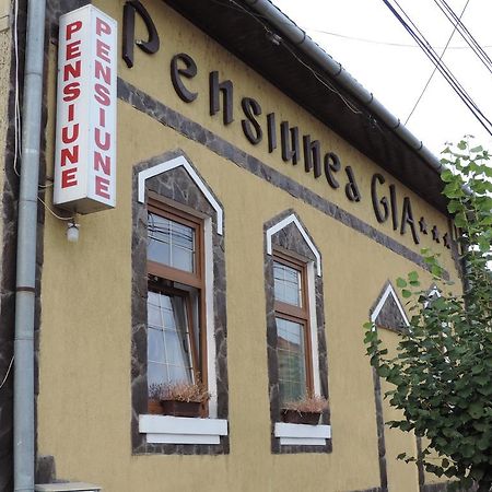 Pensiunea Gia Sighişoara Exteriér fotografie