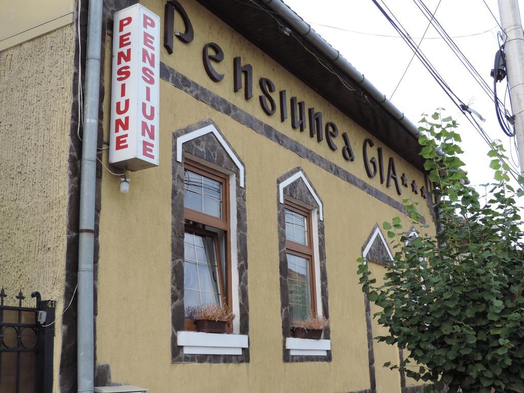 Pensiunea Gia Sighişoara Exteriér fotografie